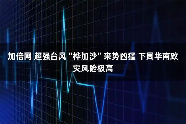 加倍网 超强台风“桦加沙”来势凶猛 下周华南致灾风险极高
