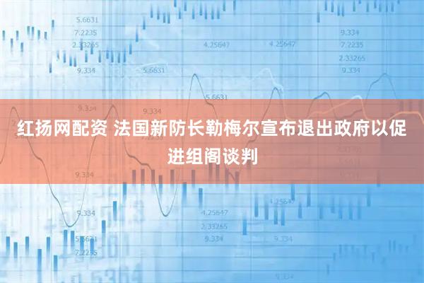 红扬网配资 法国新防长勒梅尔宣布退出政府以促进组阁谈判