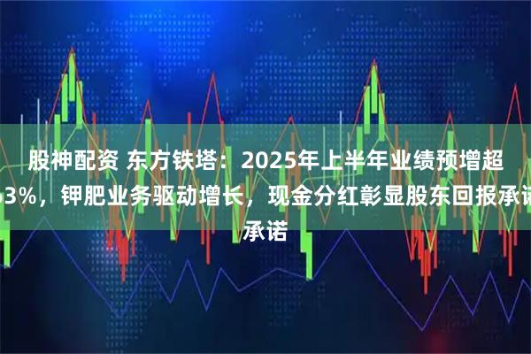 股神配资 东方铁塔：2025年上半年业绩预增超63%，钾肥业务驱动增长，现金分红彰显股东回报承诺